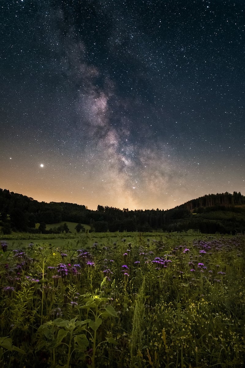 Galactic Gardens
