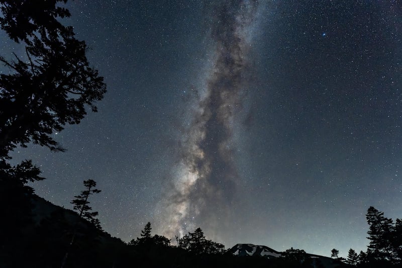 Starry Night Backdrop